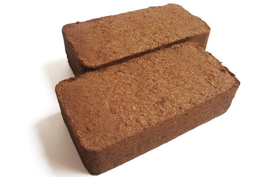 coir-briquettes_1.jpg