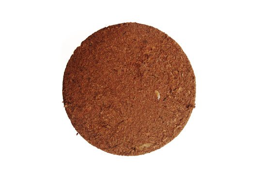 mini-disks_2.jpg