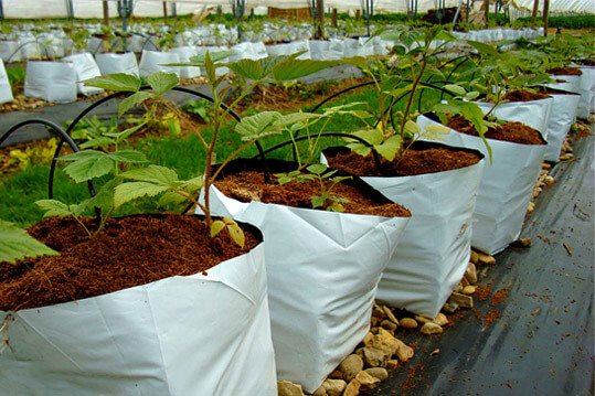 open-top-bags_2.jpg